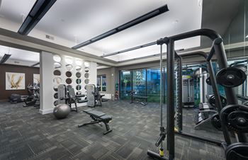Fitness Center Gym at Everra Midtown Park Apartments in Dallas, TX